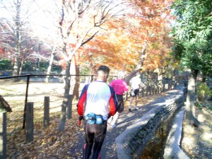 晩秋平林寺ラン20101204_hrc_heirinji