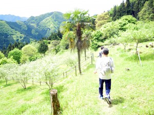 山居広場へ。展望が開ける