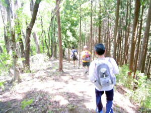 四阿屋山からの下り