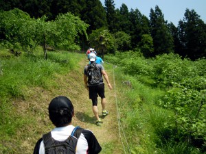 気持ちのよい開けた斜面を登る