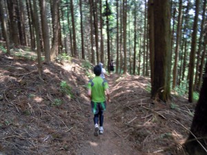 日陰で涼しい、気持ちのよい下り