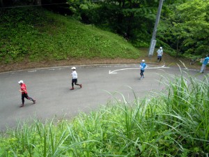 車道を横断してさらに上の登山道へ