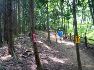 前後がだいぶ離れてきた、黙々と行く